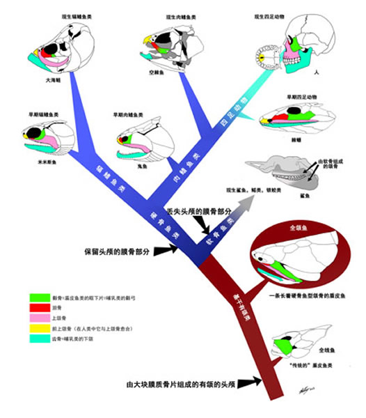 ��򢼹׵�����ݻ���ϵͼ��������ͼ��