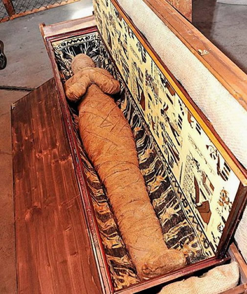 �¹���ͥ¥���з��֡�ƴ�Ӱ塱�Ű������ϵ�ľ����