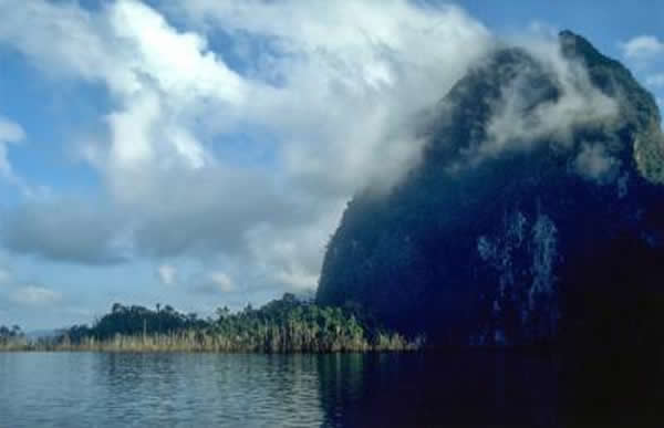 屿孙树德拉恩水库的森林岛