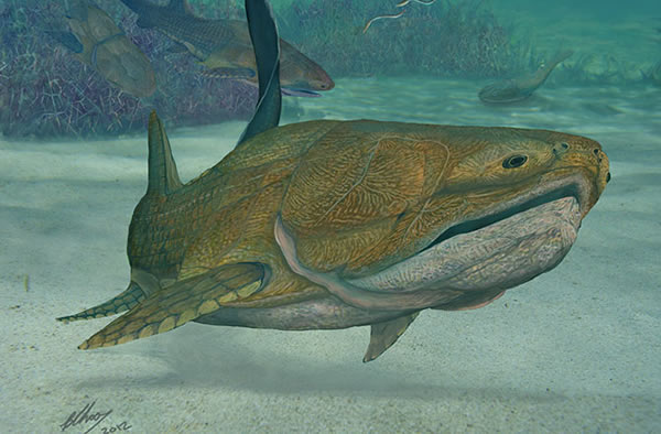 First Face? Prehistoric Fish Was a Jaw-Dropper