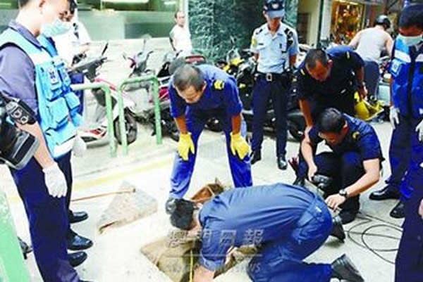 澳门饭店坑渠惊现蟒蛇