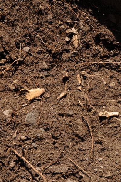 漠河岩画清理三人纹。