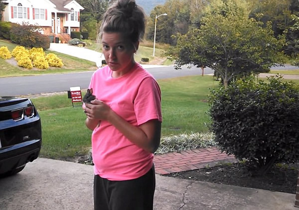 美国被救助的小野兔刚放生瞬间就被老鹰俯冲叼走