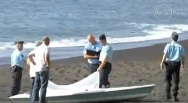 印度洋法属留尼旺岛再传鲨鱼攻击事件