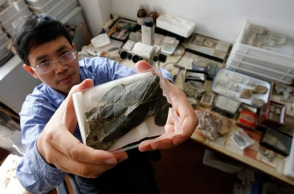 ������ѧ�����й�һ��ˮ��ײ�������������໯ʯ