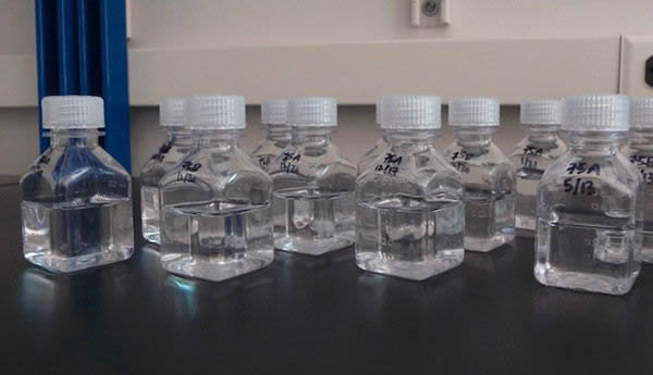 研究里收集的海水样本瓶。它们看起来是空的,但实际上包含上百万种不同类型的微生物。