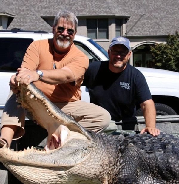 �����������Ⲷ��500���������