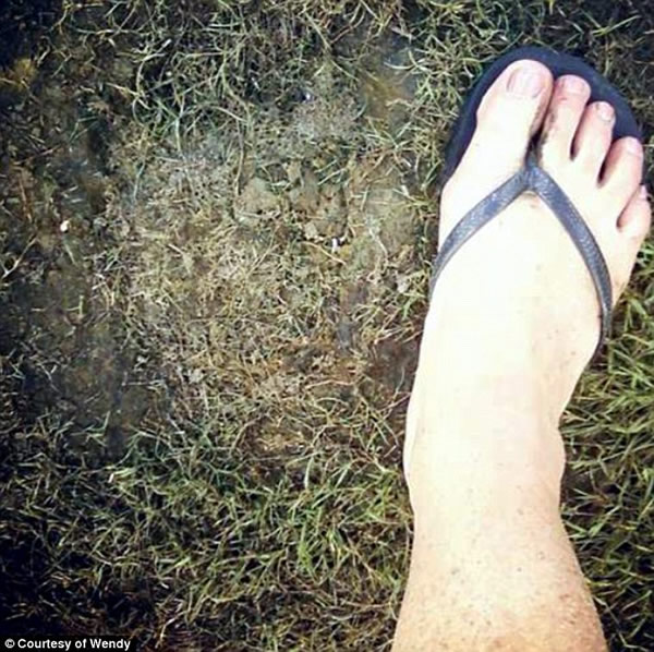 美国俄亥俄州一位民众在后院发现疑是大脚怪的大脚印
