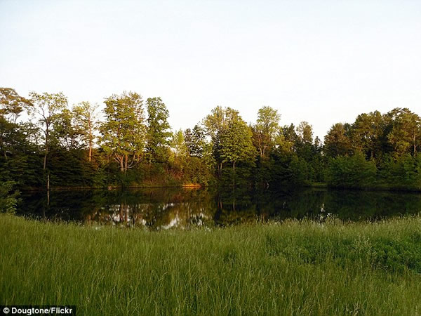 美国俄亥俄州一位民众在后院发现疑是大脚怪的大脚印
