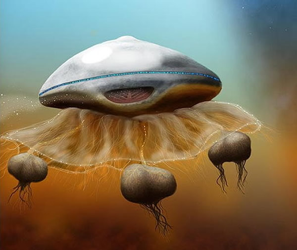 权威太空科学家：外星人很可能存在，像巨型水母