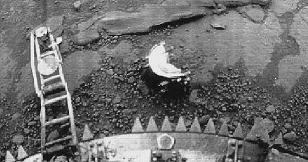 ����˹����ѧ�����Ʒ��ֽ���Ы��