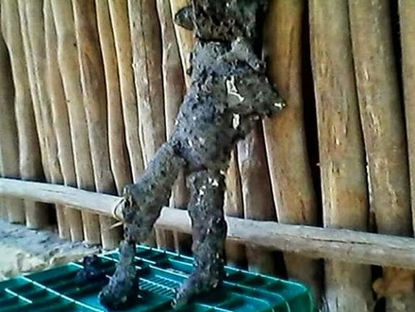 人形陨石降落墨西哥犹加敦州