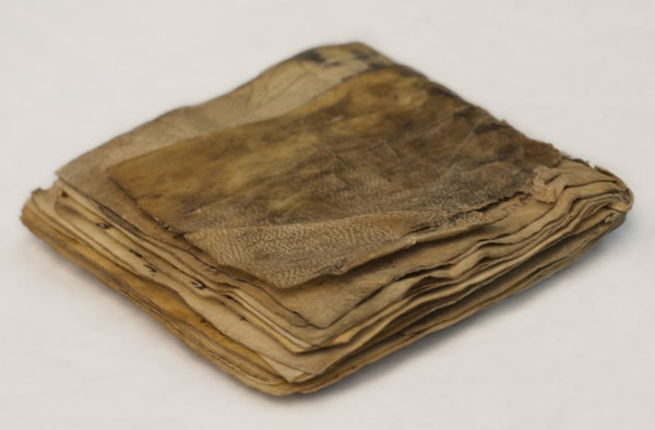 Researchers with the Green Scholars Initiative have identified what is likely th