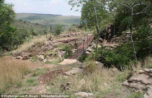 ��Щ��㻯ʯ�걾�Ǽ���ǰ���ϷǸ�����˹���ն�Ѩ�з��ֵģ�ֱ�����ڲű���ѧ���о��������������а���������ͷ����