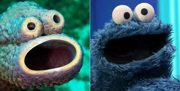 ���ձȺ�Ǳˮ���֡�¯�ܺ��ࡱ���þ�Ȼ�������ɹ��ޡ�һģһ��