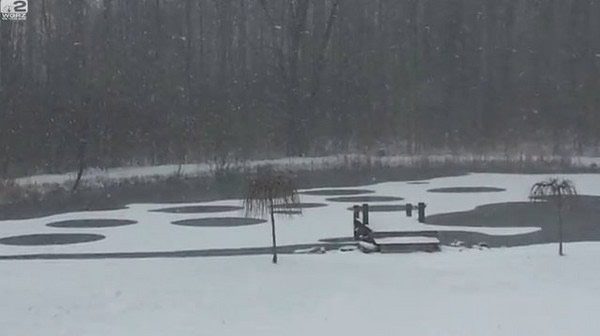 ����ŦԼ�������֡�������Ȧ��