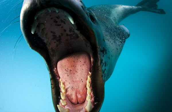 ���ߺ���