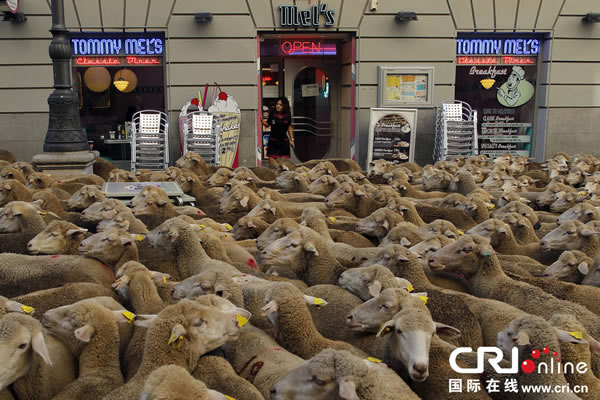 ��Ⱥ���������������Ĵ��