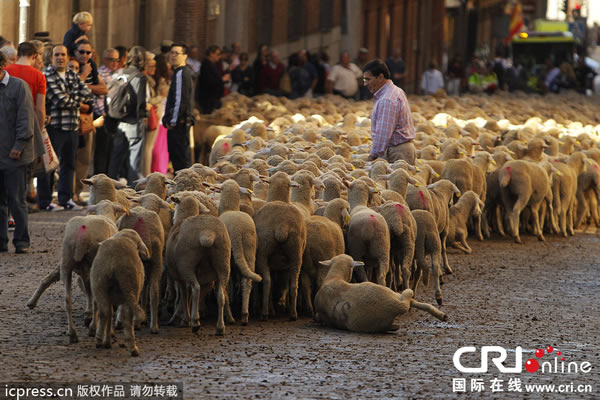 ��Ⱥ���������������Ĵ��