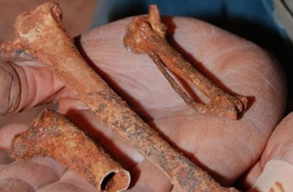 Gavin Prideaux from Flinders University holds bones uncovered during excavations