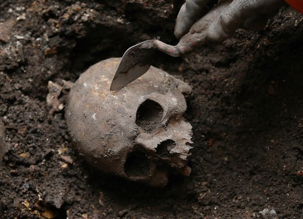 An archaeologist digs out a skull from the site of the graveyard of the Bethlehe