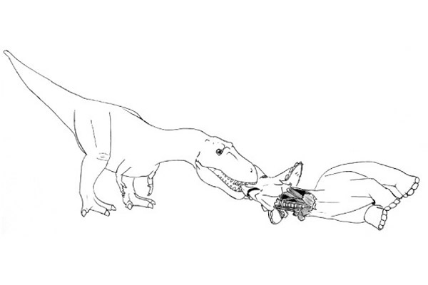 ����3��ҧס���գ��á�������~~~~~~