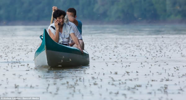 �����������Ӵ�Ⱥ��β��������ǰ���ˮ������