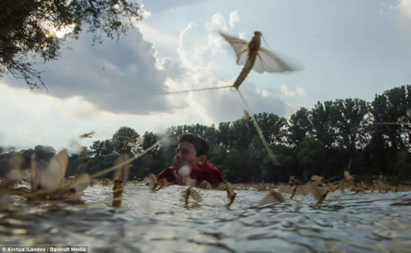 �����������Ӵ�Ⱥ��β��������ǰ���ˮ������