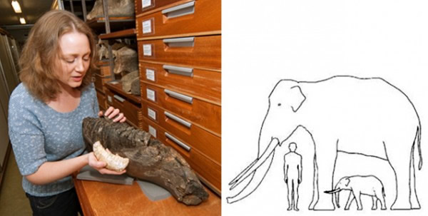 ��ʷʱ����Ĵ��ڹ�����������