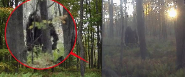 ���˱��ϣ��������ݡ���Ź֡���ƭ��