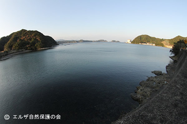 日本打算在猎捕鲸豚活动盛行的太地町打造世界首座“鲸鱼牧场”