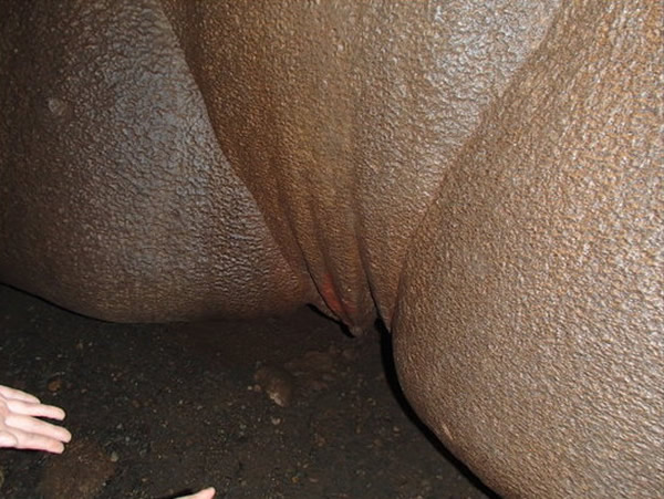 ���ɱ�������ʯ��Ů��˽��