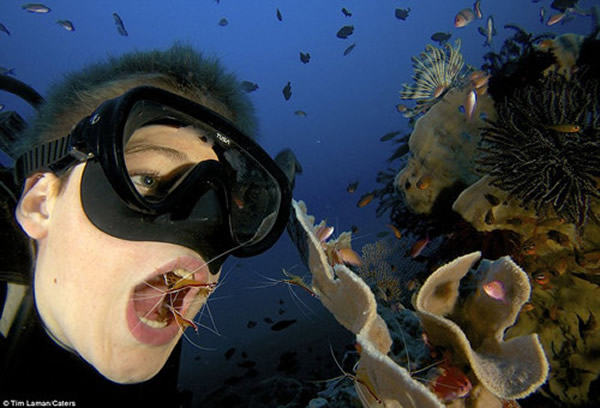 美国聪明男孩潜入水中模仿鱼类张嘴露齿让虾洁牙