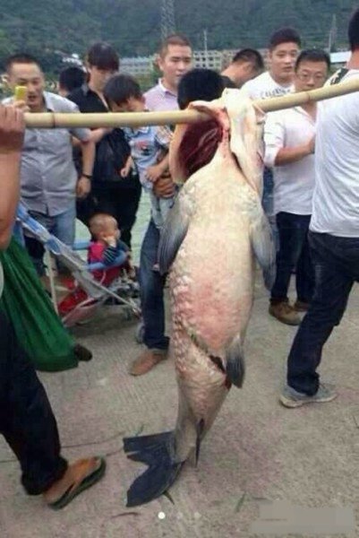 �����ֳ���һ�����̵�һ��һ�˸ߴ��㡣