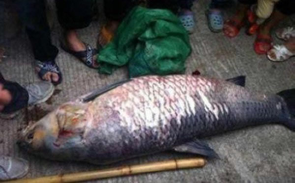 �����ֳ������ٴ�����Ѷǰ�����㡣