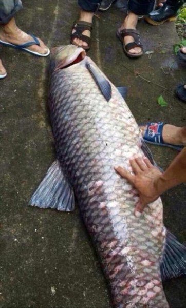 �����ֳ������ٴ�����Ѷǰ�����㡣