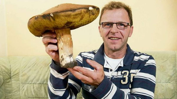 德国一名男子发现重1.4千克超大蘑菇“牛肝菌”