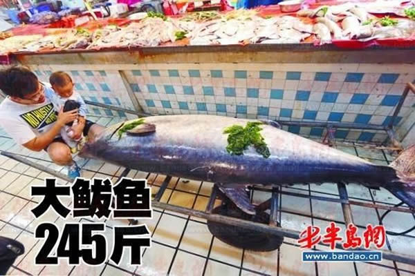 10��9�գ�����·���������ۺ��г��ڣ�������2.12�ס���245��Ĵ��������ܹ�ע��