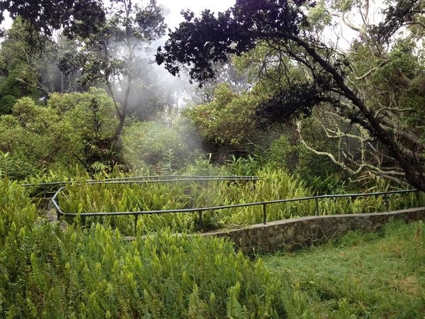 ����������������Ļ�ɽ���ҹ�԰��ɽ�����ڣ��漣���������