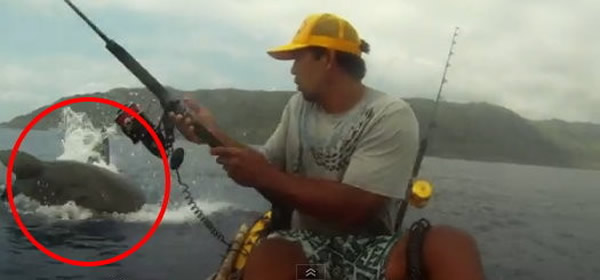 ����ľ�۳���������ǹ�� ͻȻһ�������ſ�Ѫ����Ծ������