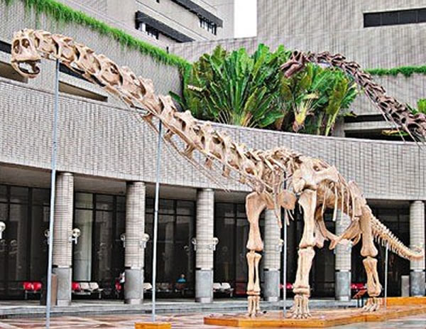 ��۽����С�����ҹ�ɶԡ� չ��������ľ���