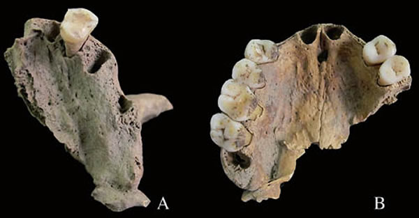 ����Ȫ��ʯ��ʱ������������ǰ���䡣�����۹�ͼ��