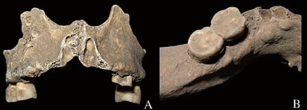 ����Ȫ��ʯ��ʱ���������Ǽ��漰���������Բ��״����¡�𡣣����۹�ͼ��