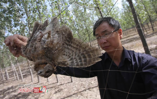 ʯ��ׯ�����ӱ��������־�����������Ŀ����