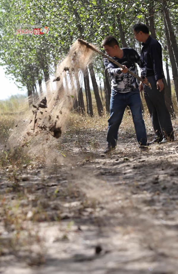 ʯ��ׯ�����ӱ��������־�����������Ŀ����