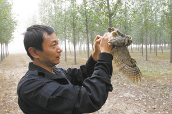 �����������δ����Ͼ���һֻСèͷӥ��