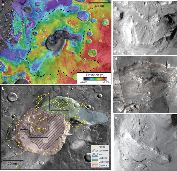 ��֤��֤�����ڻ����г�����ɽ