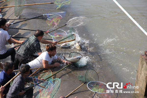 2013��10��11�գ��㽭ʡ̨���д�����ˮ����ϲ��㡣