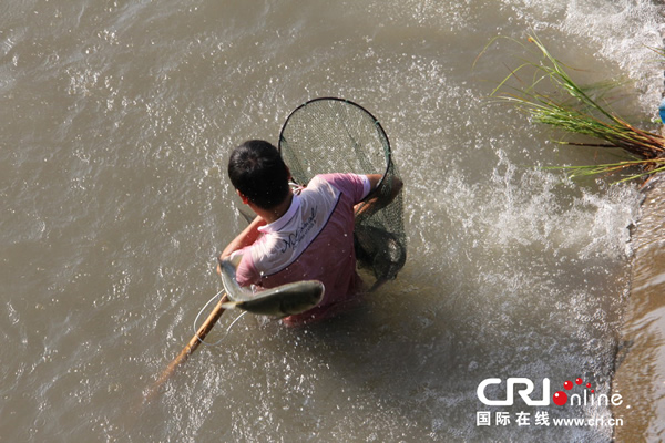 2013��10��11�գ��㽭ʡ̨����һ��������ˮ���㡣