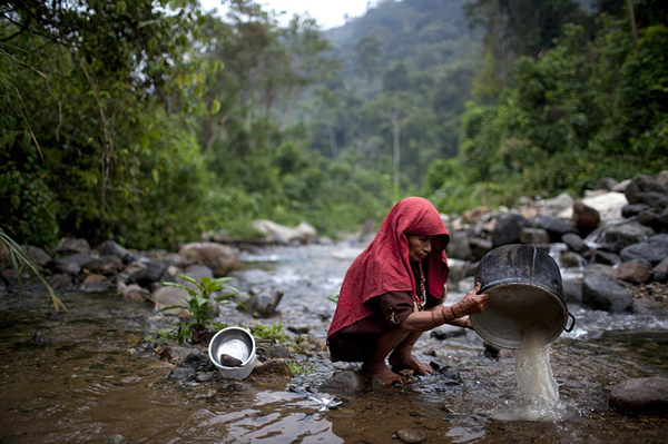 Ashaninka������������ӡ�ڰ�����֮һ